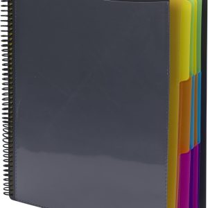 12 Pocket Poly Project Organizer, Letter Size, 1/3-Cut Tab, Gray with Bright Colors () (Pack of 1)